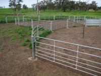 China sheep panels for sale factory