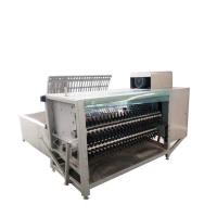 China Roast Chicken Pig Hair Removal Machine for sale