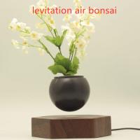 China factory sale magnetic levitation air bonsai flowerpot many style for choose factory