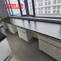 China Chemical Resistant Chemistry Lab Workbench Laboratory Furniture Hong Kong with  Phenolic Resin Worktop factory