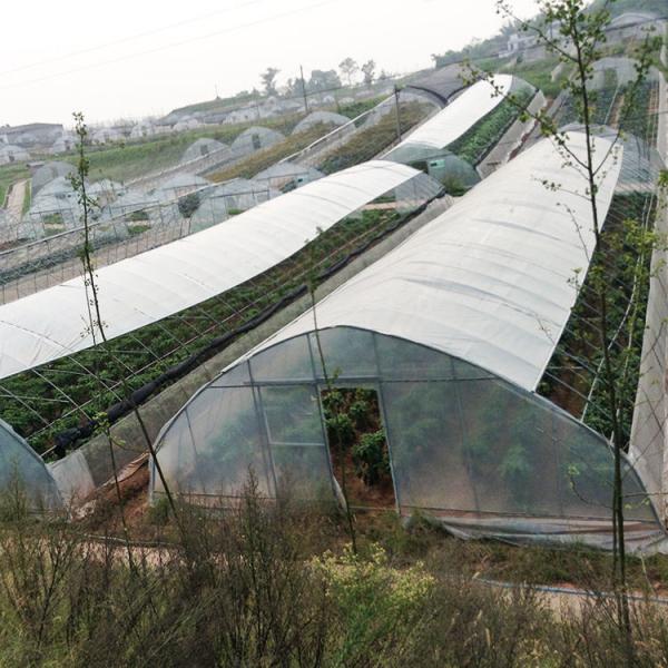 Quality Galvanized Steel Frame PE Film Plastic Film Greenhouse Arch Space 1-2m for sale