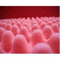 Quality Lightweight Acoustic Eggshell Foam , Odorless Egg Crate Foam Sound Dampening for sale