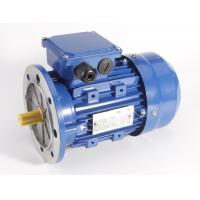 China 3Ph 380V AC Induction Motor With Aluminum Frame And Removable Feet factory