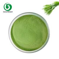 China Pure barley grass powder organic barley grass powder Wholesale price health care factory