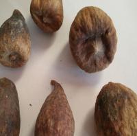China Dried Climbing Fig Fruit Ficus pumila Linn Fructus Fici Pumilae for medicinal herb Pi li guo factory
