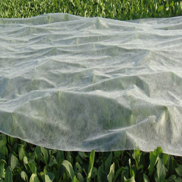 Quality 100% PP Spunbond Non Woven Fabric , Non Woven Landscape Fabric For Winter for sale