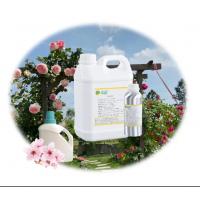 China Light Yellow Liquid Laundry Detergent Fragrances Sakura Fragrance For Making Detergent factory
