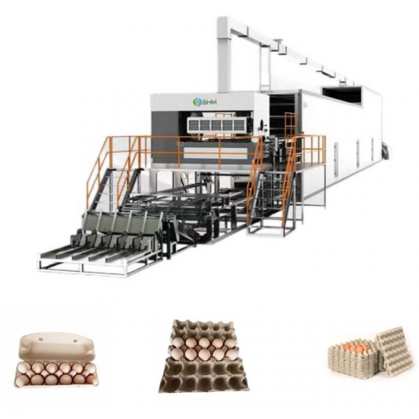 Quality 50Hz Pulp Paper Egg Tray Making Machine Pulp Container Manufacturing for sale