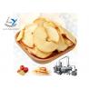 China 380V/220V Apple Fruit Chips Making Machine , Continuous Automatic Fryer Machine factory