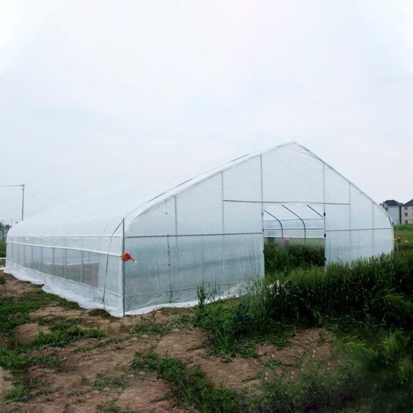 Quality Farm Tunnel Polyethylene Film Greenhouse / Clear Plastic Greenhouse For Various for sale