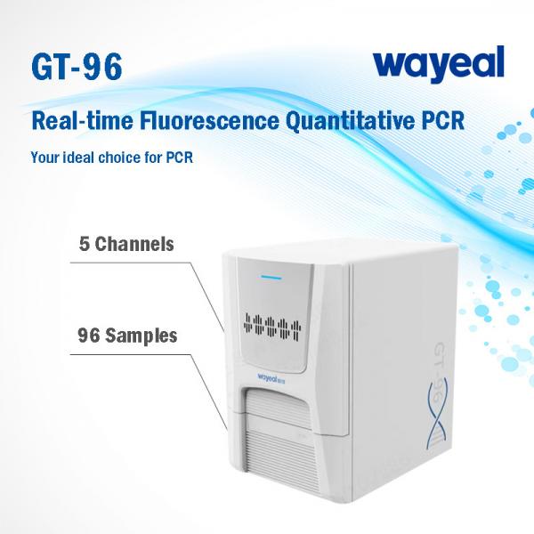 Quality Fast Testing Real Time Fluorescence Quantitative PCR Analyzer 96 Wells 5 Channels for sale