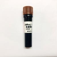 China Non Toxic DSRed Nucleic Acid Gel Stain 10000x 0.5ml factory