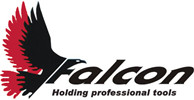China Falcon Holding Company Limited logo