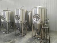 China Side Manhole 1000l Conical Fermentation Tank With 3 Bar Pressure Vessels factory