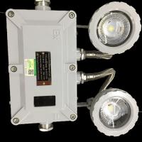 Quality 6w Led Explosion Proof Emergency Light Twin Head Wall Mounted for sale