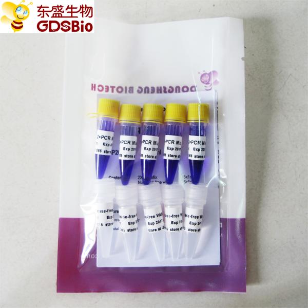Quality Taq Mix PCR Master Kit #P2012 5ml for sale
