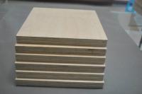 China Poplar Core Commercial MR Grade Plywood , Hardwood Moisture Proof Plywood Sheets factory