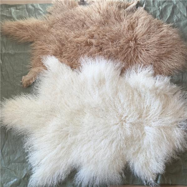 Quality Long curly Sheepskin Material Natural White Tibetan lambswool Mongolian fur for sale