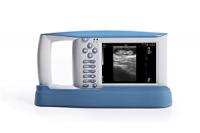 China USB Diagnostic Ultrasound Equipment With OB Software For Animals And 100 Images Storage factory