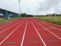 China Multipurpose 15mm Thickness Polyurethane Athletic Track Surfaces Spike Resistant factory