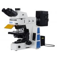 Quality Trinocular APO Led Fluorescent Microscope PL10x22mm Trinocular Head for sale